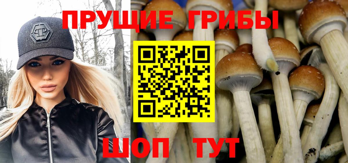 Галлюциногенные грибы мухоморы  Вход с VPN  Советская Гавань 